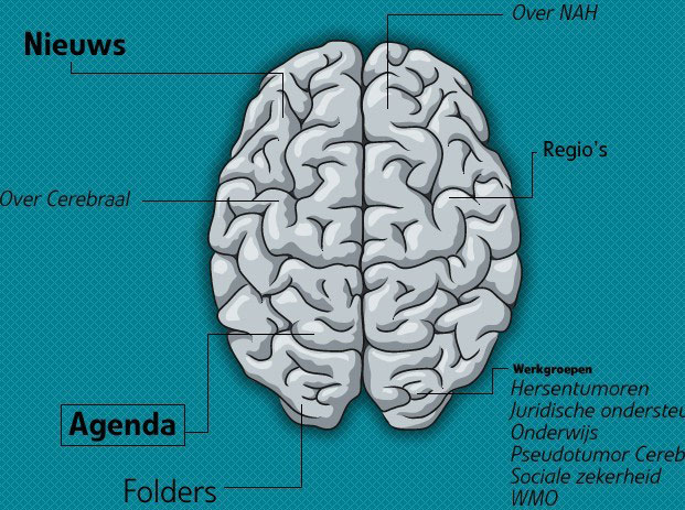 foto Vereniging Cerebraal