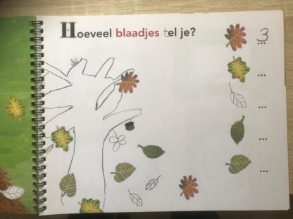 Sesamstraat Doe Boek