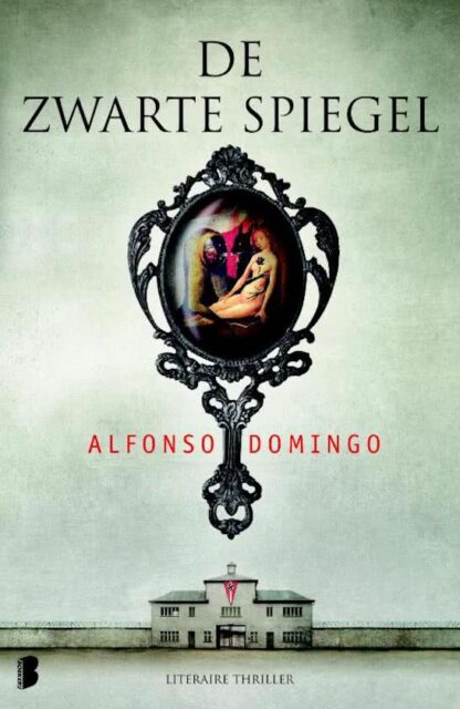 De Zwarte Spiegel - Alfonso Domingo