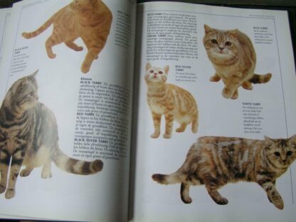 De Kattenrassen Encyclopedie - Angela Rixon