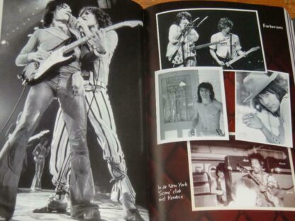 Ron Wood (Autobiografie)