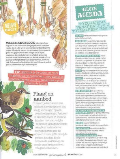 Xmas Jamie Magazine Kerst