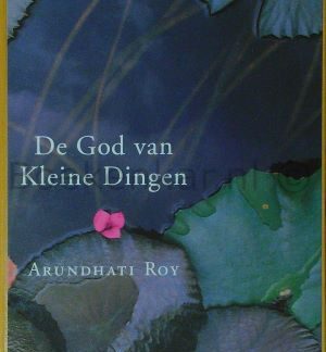 De God van Kleine Dingen - Arundhati Roy